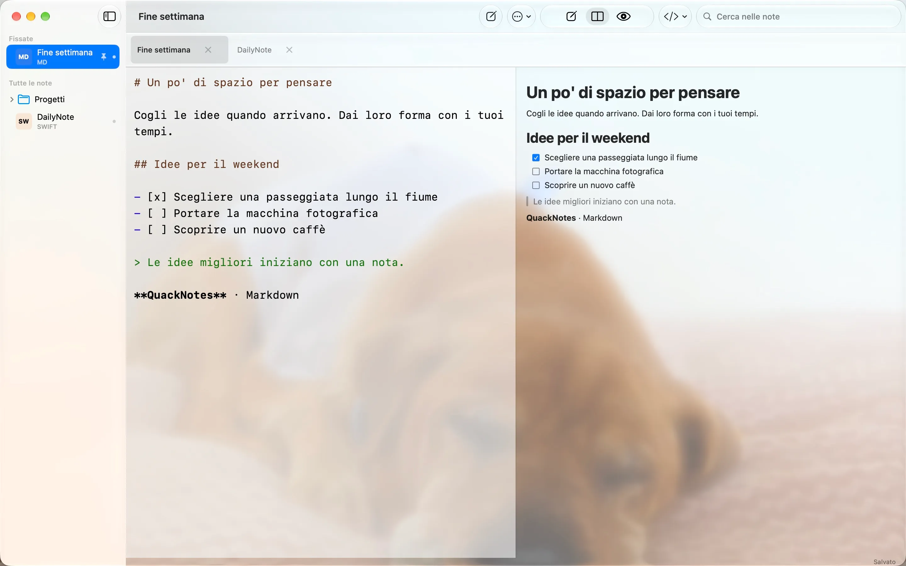 QuackNotes su Mac con la finestra traslucida in stile Liquid Glass sopra una foto